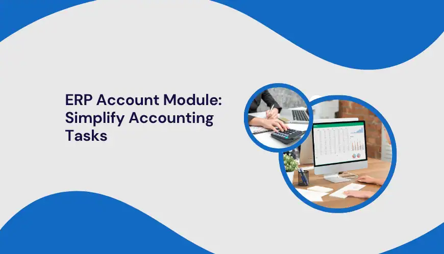ERP Account Module